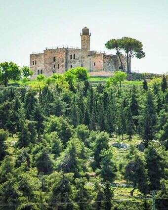 קבר שמואל הנביא. | הדס פרוש, פלאש 90