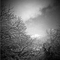 ההיעדר יוצר נוכחות גדולה יותר. 'נופשמים נופארץ', הדסה שרשבסקי, מוצג בתערוכה 'לתלפיות', גלריית אורייתא' 2018