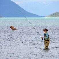מתמודדת בגבורה עם חכות, פיתיונות וניקוי הדגים. דייג במפלי ברוקס, אלסקה, 2018. | שאטרסטוק