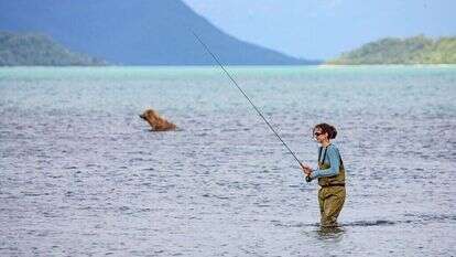 מתמודדת בגבורה עם חכות, פיתיונות וניקוי הדגים. דייג במפלי ברוקס, אלסקה, 2018. | שאטרסטוק