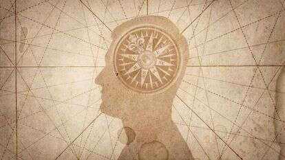 איור: שאטרסטוק איור: שאטרסטוק