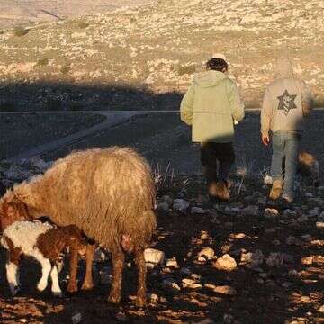 נוער הגבעות, אילוסטרציה | מרים צחי נוער הגבעות, אילוסטרציה | מרים צחי