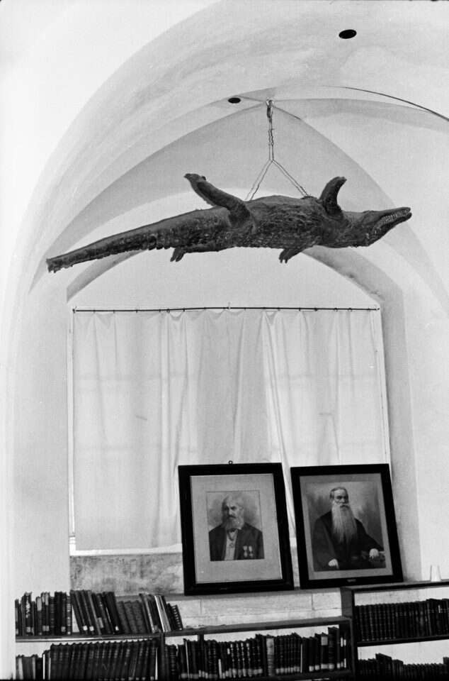 "אוצר טבע בלום". התנין האחרון בארץ תלוי באכסניית פאולוס הקדוש. | יוסי לשם