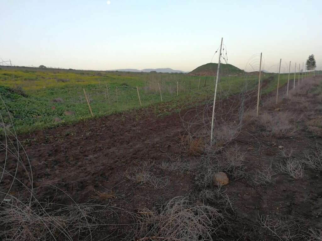 הנזק בקיבוץ כפר הנשיא