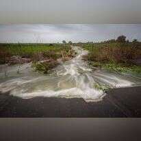 זרימה בנחלי הגולן. | מאור קינסבורסקי, פלאש 90