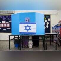 הצבעה בקלפי בבחירות 2015. | AP