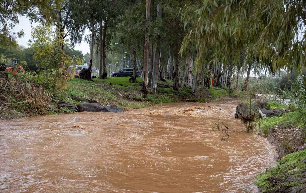 גיל אליהו ג'יני