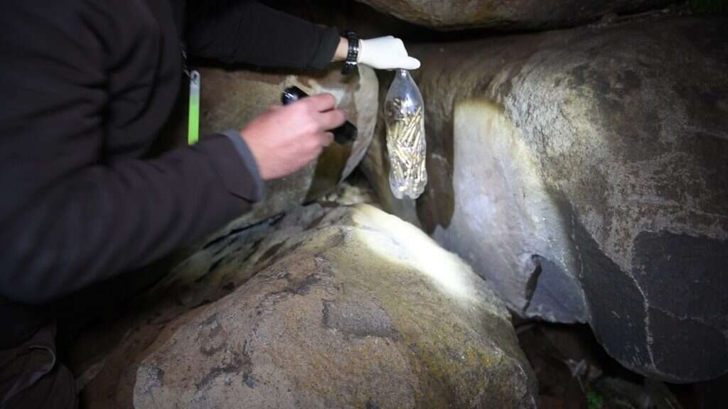 פעילות המשטרה נגד טרור חקלאי. | דוברות משטרת ישראל