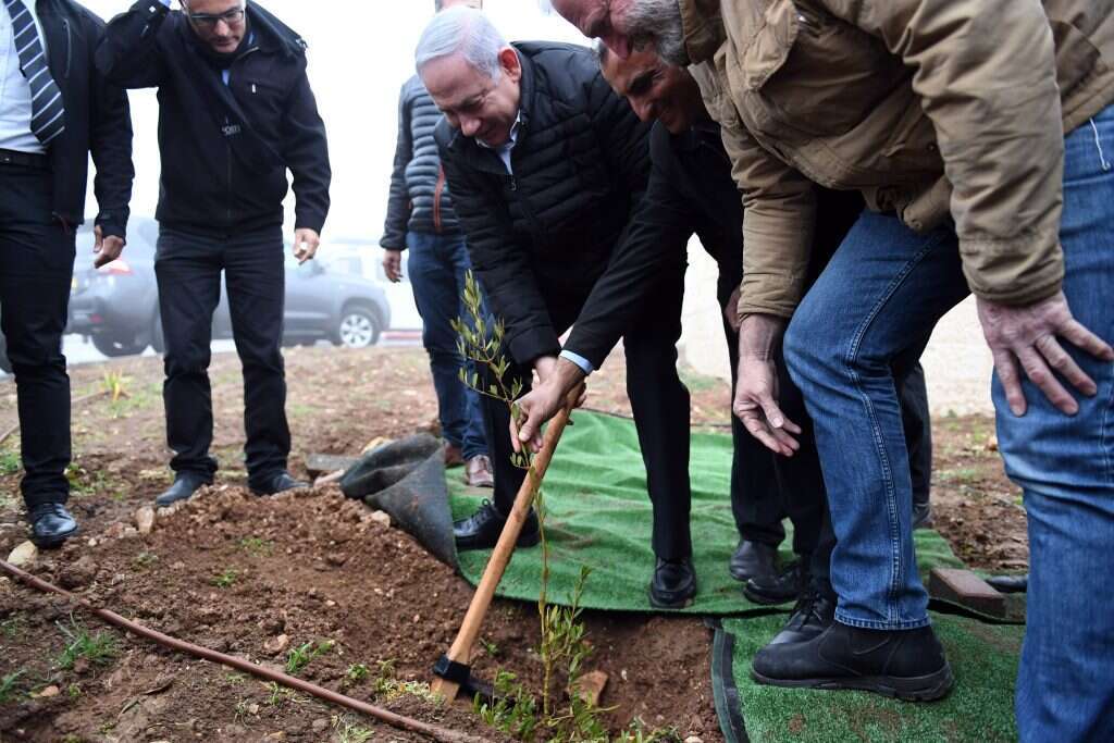 נטיעת העץ. | אריאל חרמוני, משרד הביטחון