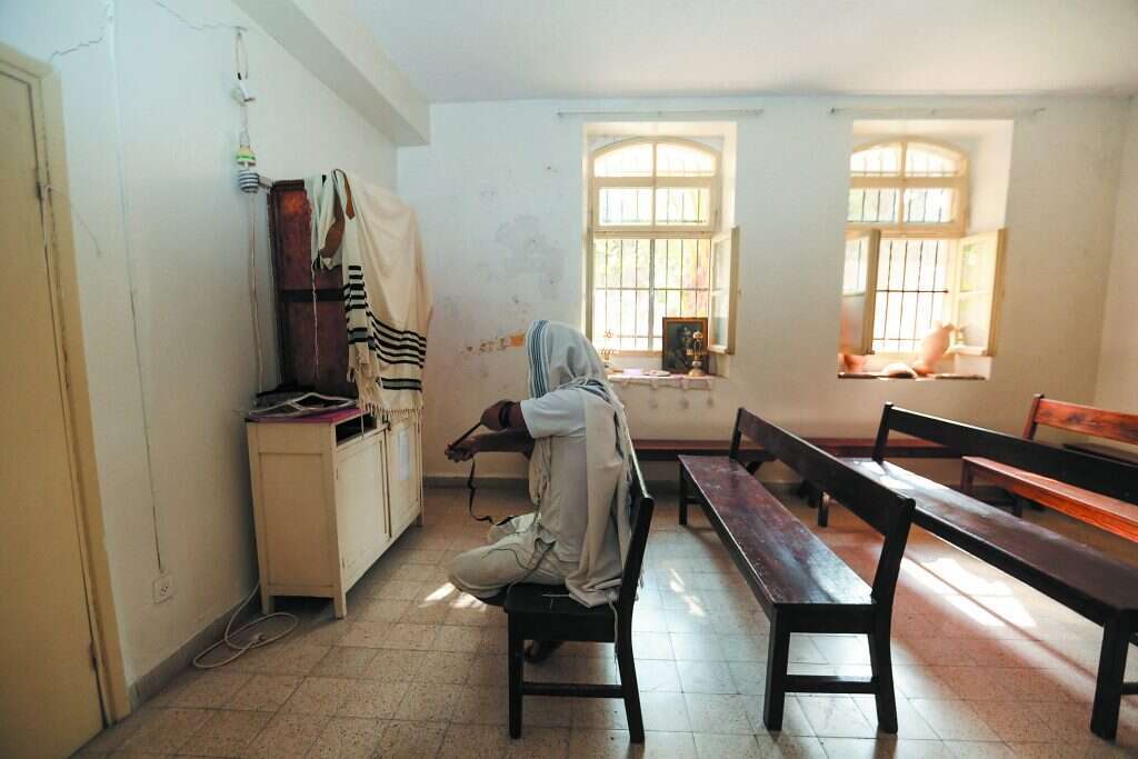 שיפוץ המתחם. | מרים צחי