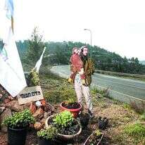 יונדב תפוחי בגלעד שהוקם סמוך למקום האסון. | מרים צחי