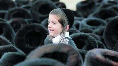 עזרא לנדאו, "ראש לשועלים", ירושלים 2014