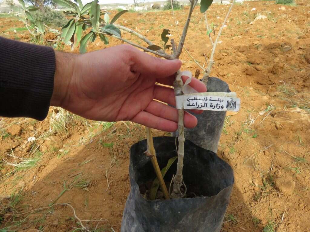 פעילות ההשתלטות על קרקעות. | DMU