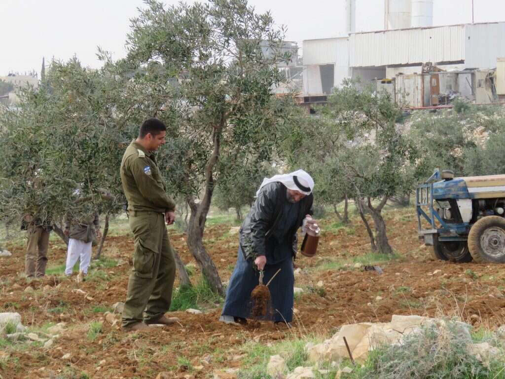 פלסטינים נוטעים עצים. | DMU