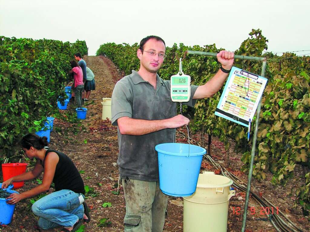 חוקרים בשטח, "בתנאים אמיתיים". הדוקטורנט שראל מוניץ. | ישי נצר חוקרים בשטח, "בתנאים אמיתיים". הדוקטורנט שראל מוניץ. | ישי נצר