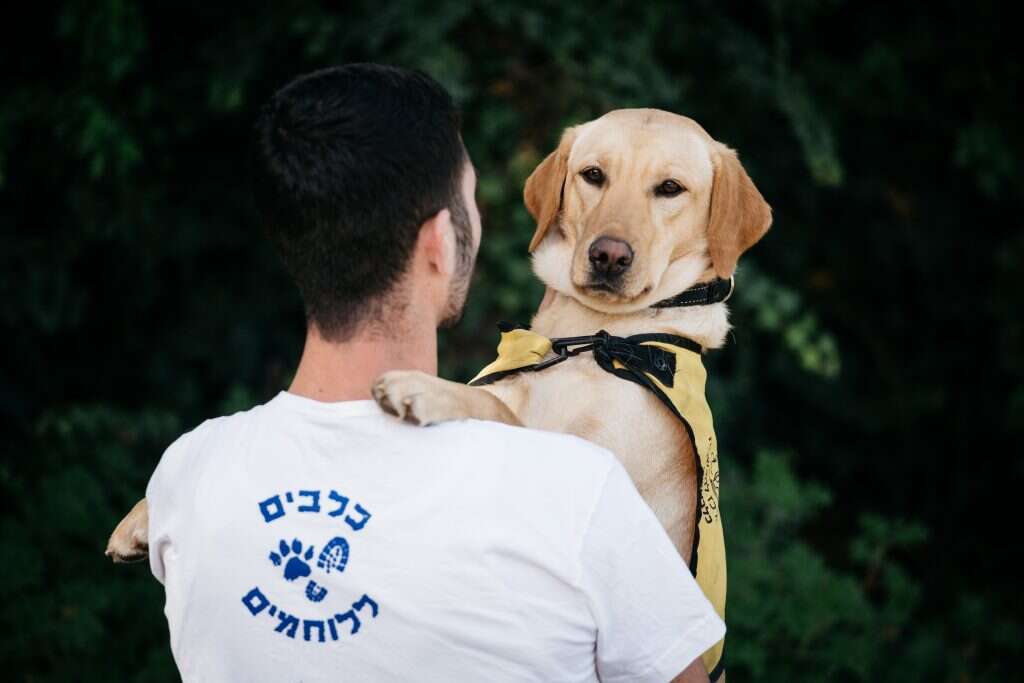 צוריאל פרידמן. | אבישג שאר-ישוב