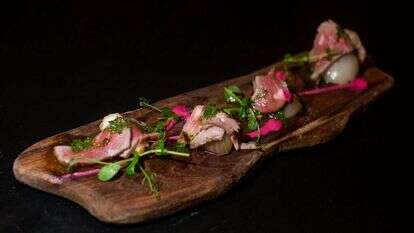 אבישג שאר-ישוב