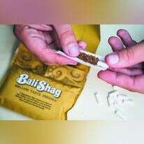 טבק לגלגול. | הדס פרוש, פלאש 90