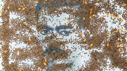 יעקב מתתיה יעקב מתתיה