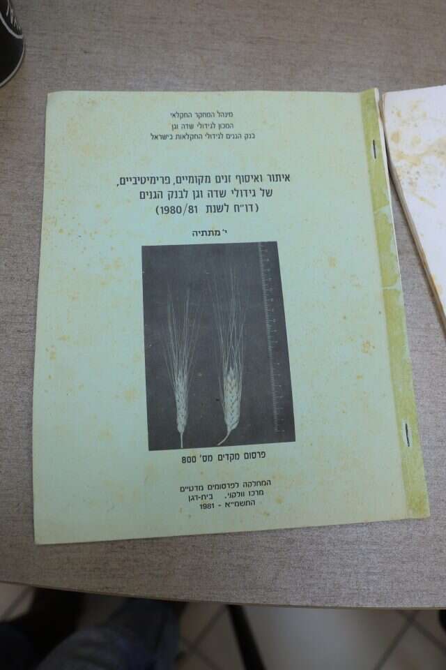 הדו"ח. | יעל (פורינד) אברהם הדו"ח. | יעל (פורינד) אברהם