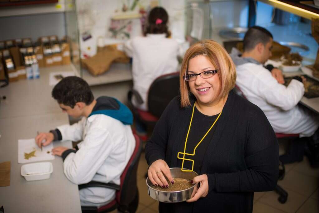 המידע מוודא שלא מתחילים מאפס. ד"ר עינב מייזליש־גתי. | אריק סולטן המידע מוודא שלא מתחילים מאפס. ד"ר עינב מייזליש־גתי. | אריק סולטן