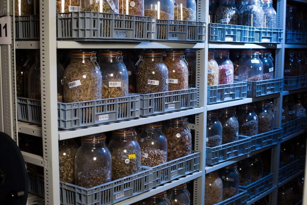 בנק הזרעים במכון הוולקני. | אריק סולטן בנק הזרעים במכון הוולקני. | אריק סולטן