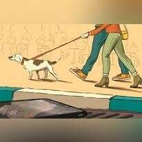 איור: מורן ברק