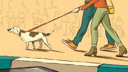 איור: מורן ברק