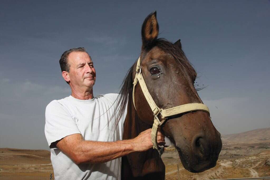 אל"מ במיל שריה עופר מברוש הבקעה. | אלי דסה אל"מ במיל שריה עופר מברוש הבקעה. | אלי דסה