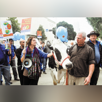 מאז מכירת תנובה לסינים אני מזהה פוסט־ציונות מעשית בחברה הישראלית. מחאה נגד מכירת תנובה לחברה סינית, 2014. | רוני שיצר, פלאש 90