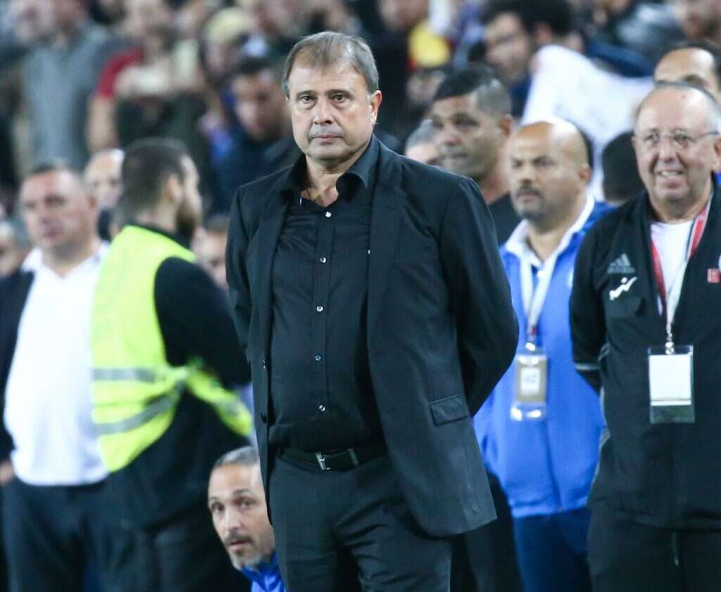 אלישע לוי. | דני מרון