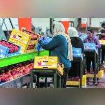 בית אריזה לתפוחים בגולן. | אייל מרגולין - ג'יני