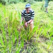 פרופ' זהר עמר וקנה הבושם