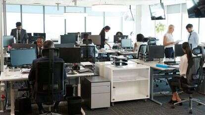 עובדים בהייטק. | שאטרסטוק