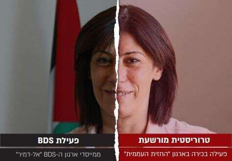 חאלדה גראר. | מסך