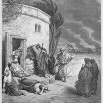 איוב. | שאטרסטוק