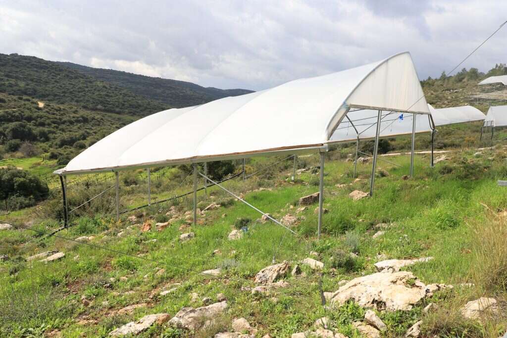 אי קטן בים של חוסר ידע. סככת צל גשם. | יעל (פרוינד) אברהם