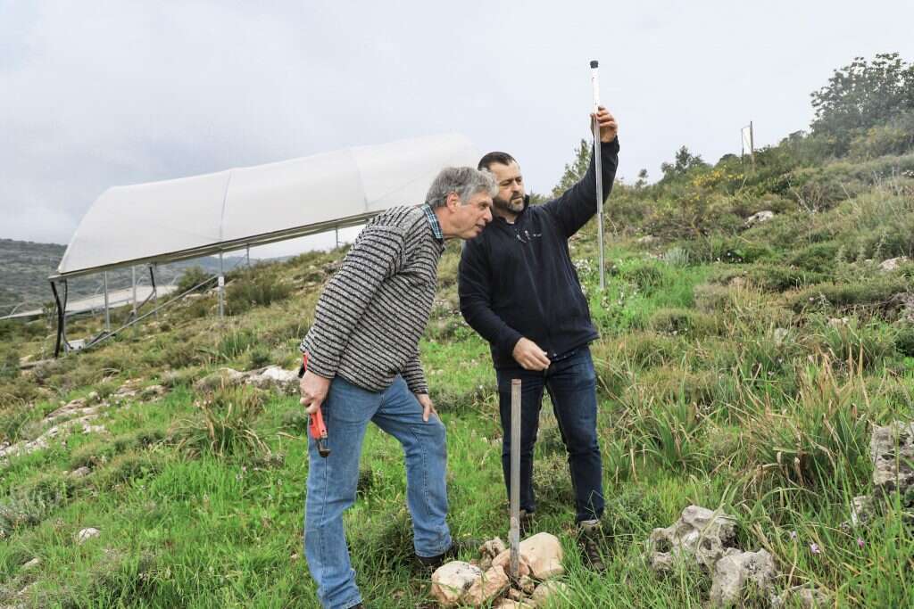 חמישית מהכמות הממוצעת ביומיים. מרסלו שטרנברג ועופר כהן. | יעל (פרוינד) אברהם