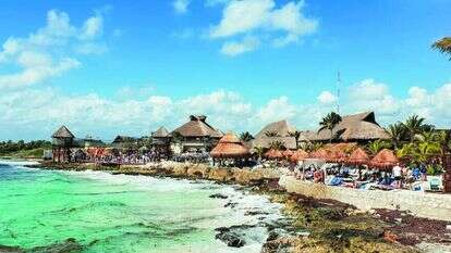 מסע באיים הקריביים בעקבות קולומבוס. | אליהו בירנבוים