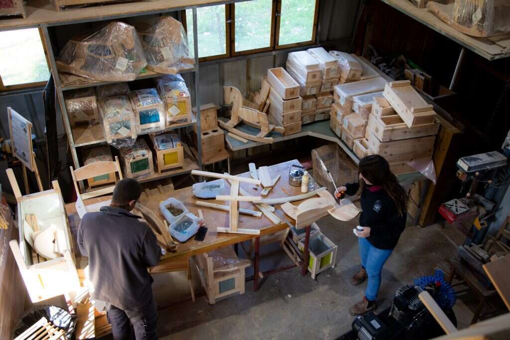 "האתגר הוא לשים אותם במקום חולם, וכך לשבור את תקרת הזכוכית שהם נעולים תחתיה". ימין אורד. | אריק סולטן