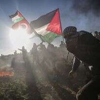 התפרעויות בסמוך לגדר המערכת סביב רצועת עזה. | EPA