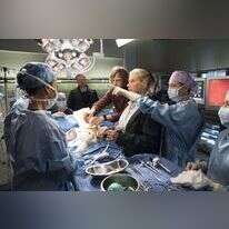 מתוך הסדרה "האנטומיה של גריי". | באדיבות יס