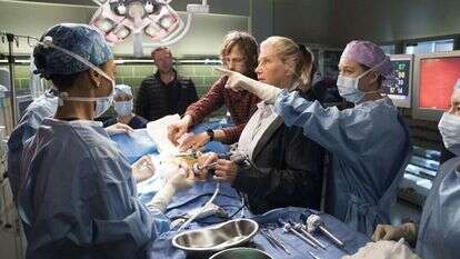 מתוך הסדרה "האנטומיה של גריי". | באדיבות יס