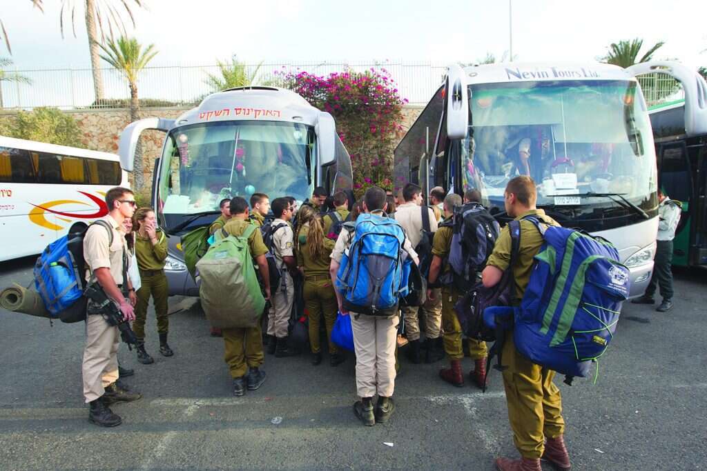 מישל דוט קום