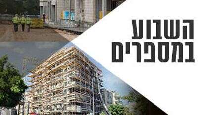 הדס פרוש - פלאש 90, שאטרסטוק