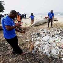 מבצע לניקוי אשפת פלסטיק וזבל בחוף. | EPA