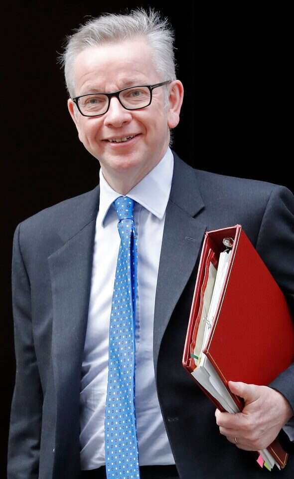 מייקל גוב. | AFP מייקל גוב. | AFP