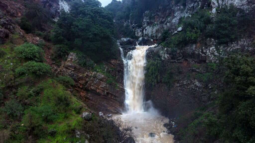 מאגר דבש בגולן. | חיים קרסנו