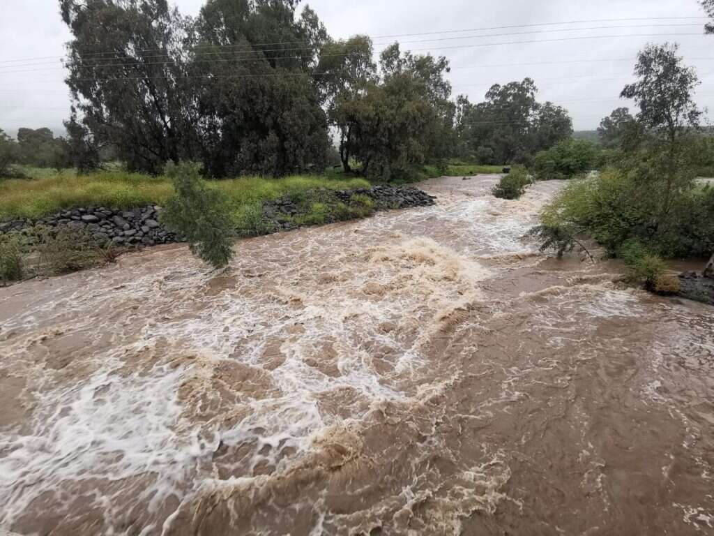 נחל המשושים. | חיים קרסנו