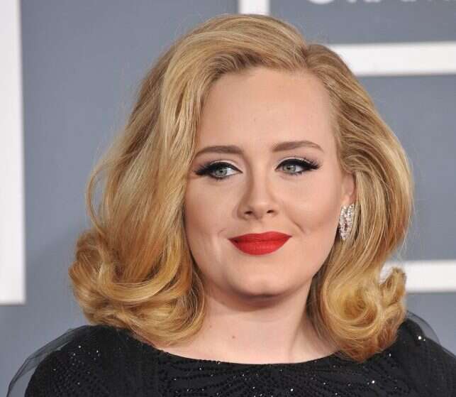 סיבוב הופעות בשבת. אדל. | שאטרסטוק